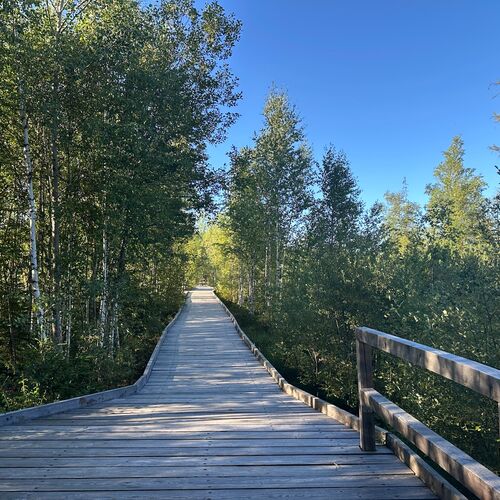 Urlaub im Nationalpark Bayrischer Wald 2025