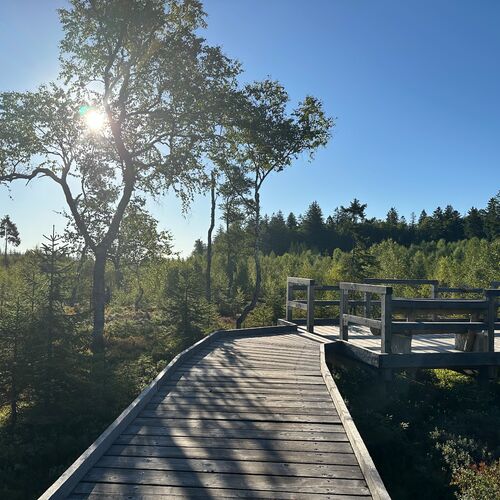 Urlaub im Nationalpark Bayrischer Wald 2025